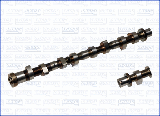 Camshaft (WG1456522)