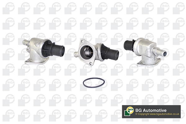 Thermostat, coolant (WG1760403)