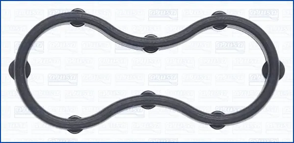 Gasket, timing case (WG2079080)
