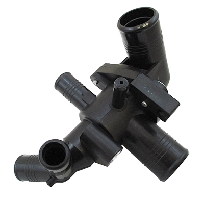 Thermostat, coolant (WG1941209)