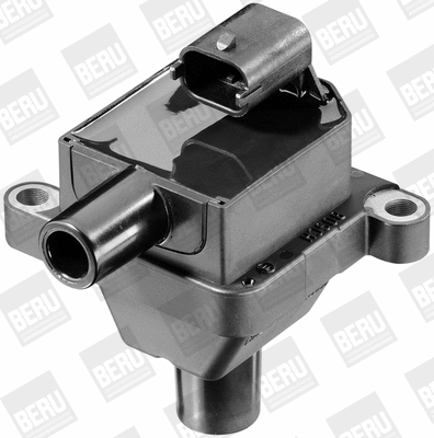 Ignition Coil (WG1487377)