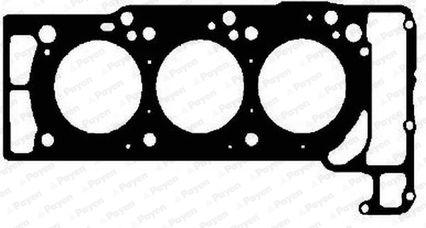 Gasket, cylinder head (WG1176610)