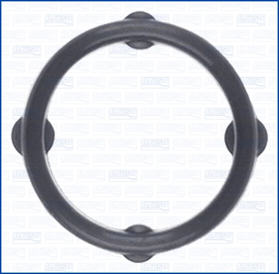 Gasket, timing case (WG2079084)
