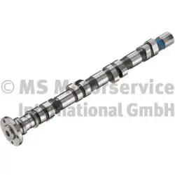 Camshaft (WG1017848)