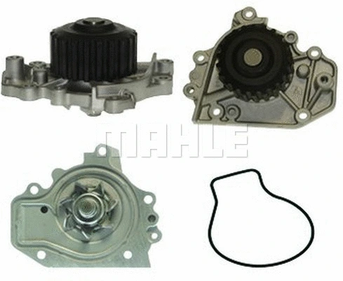 Water Pump, engine cooling (WG2181658)