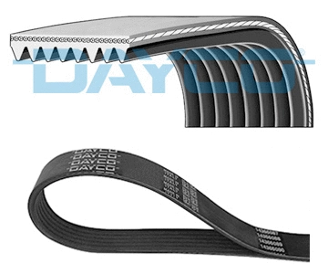 V-Ribbed Belt (WG2003351)