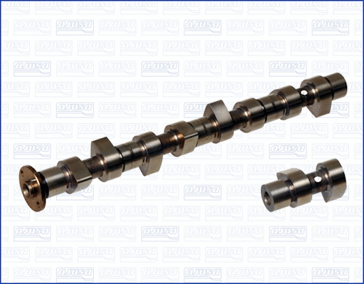 Camshaft (WG1170744)