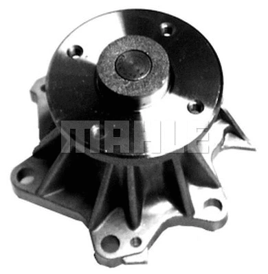 Water Pump, engine cooling (WG2181634)