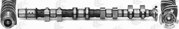 Camshaft (WG2179555)