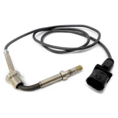 Sensor, exhaust gas temperature (WG1748748)