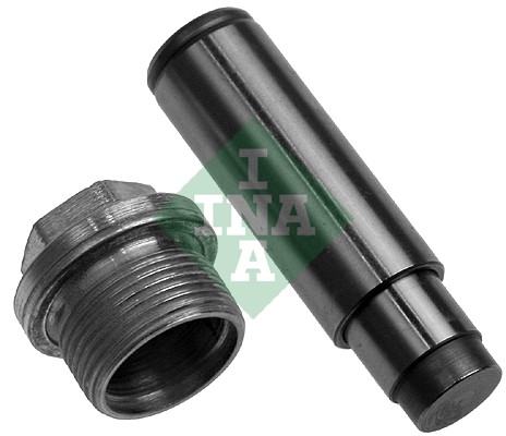 Tensioner, timing chain (WG1725072)