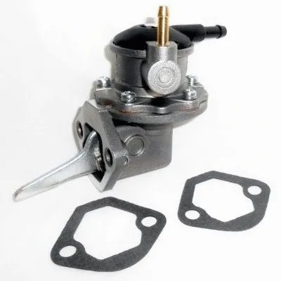 Fuel Pump (WG1750068)