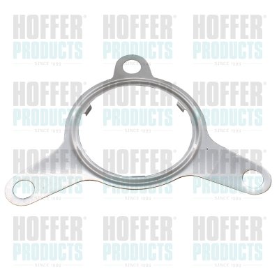 Gasket, EGR valve (WG2262109)