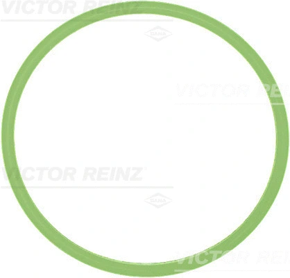 Gasket, intake manifold (WG1248333)