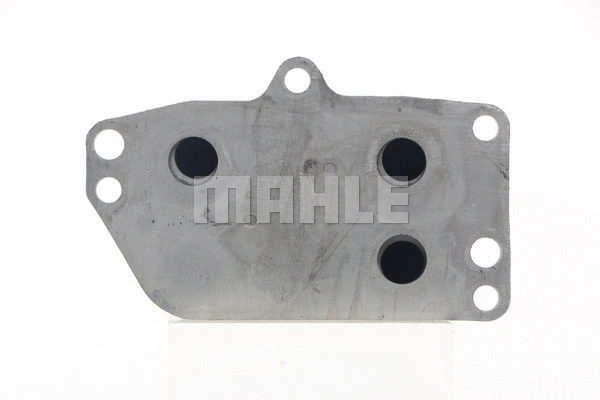 Oil Cooler, engine oil (WG2181069)