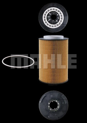 Oil Filter (WG1426440)