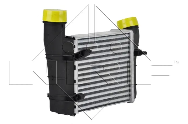 Charge Air Cooler (WG1723736)