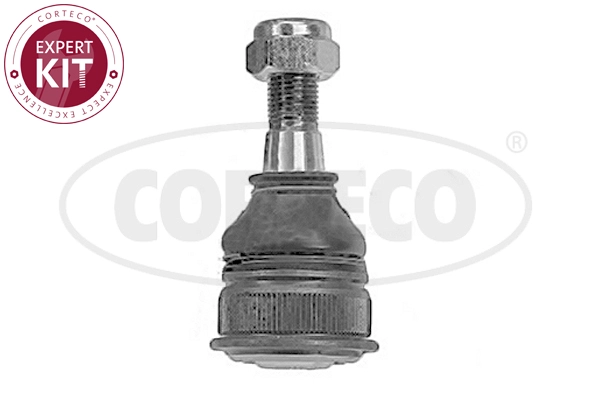 Ball Joint (WG2288434)