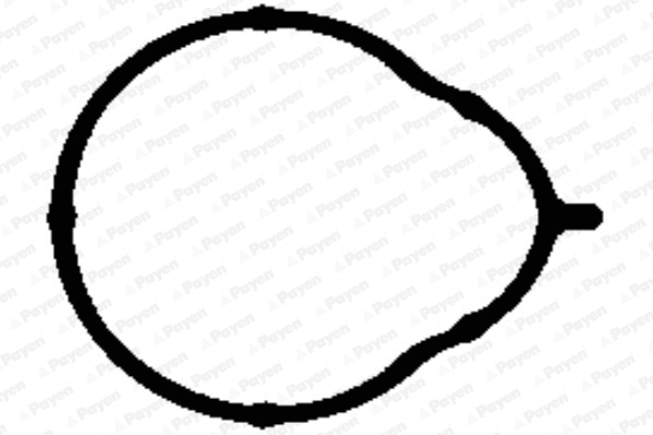 Gasket, intake manifold (WG1181979)