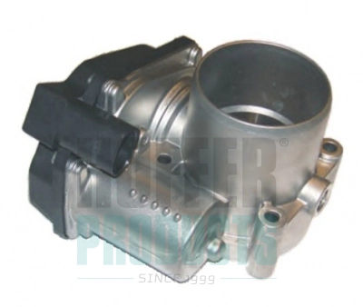 Throttle Body (WG1899246)