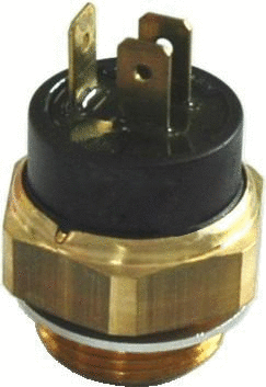 Temperature Switch, radiator fan (WG1748963)