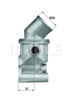 Thermostat, coolant (WG1217712)