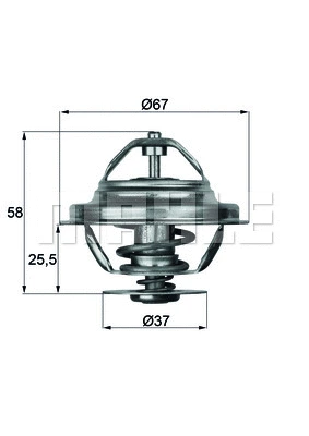 Thermostat, coolant (WG1217906)