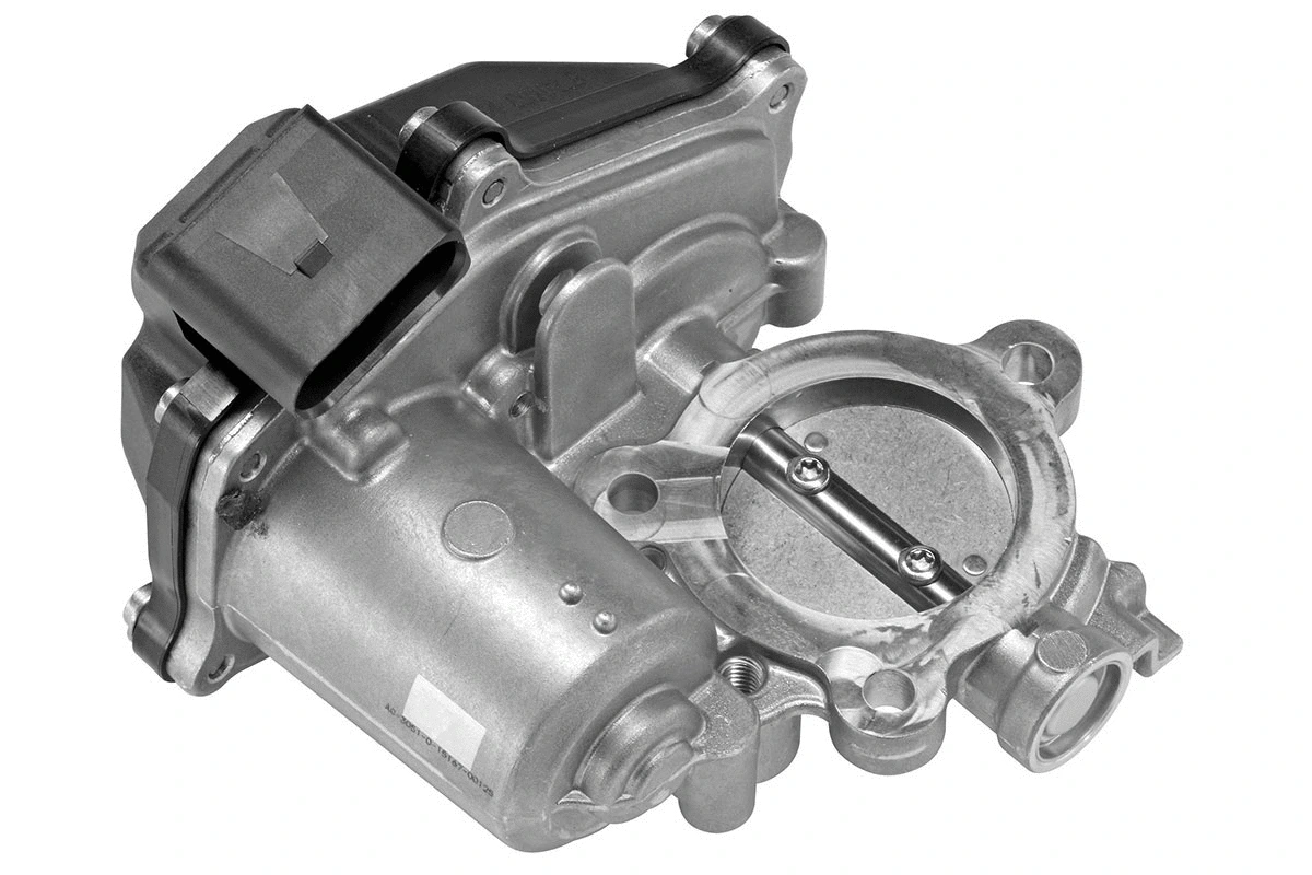 EGR Valve (WG1500990)