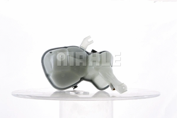 Expansion Tank, coolant (WG2184300)