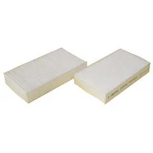 Filter, cabin air (WG1774586)