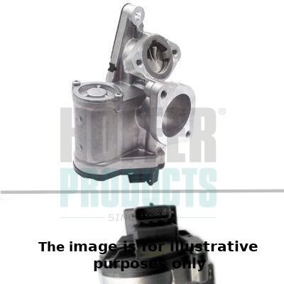 EGR Valve (WG2042775)