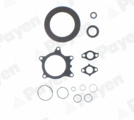 Gasket Kit, crankcase (WG1179907)
