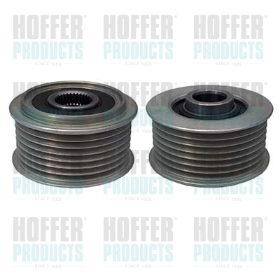 Alternator Freewheel Clutch (WG2262457)