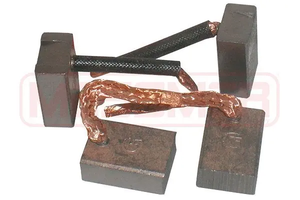 Carbon Brush, starter (WG2013683)