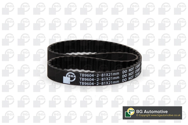 Timing Belt (WG2258724)
