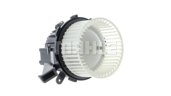 Interior Blower