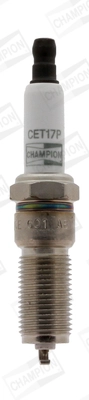 Spark Plug (WG2009711)