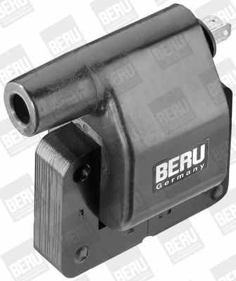 Ignition Coil (WG1487364)