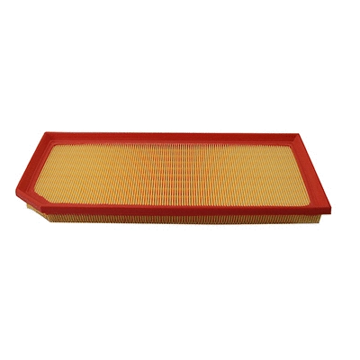 Air Filter (WG2152148)