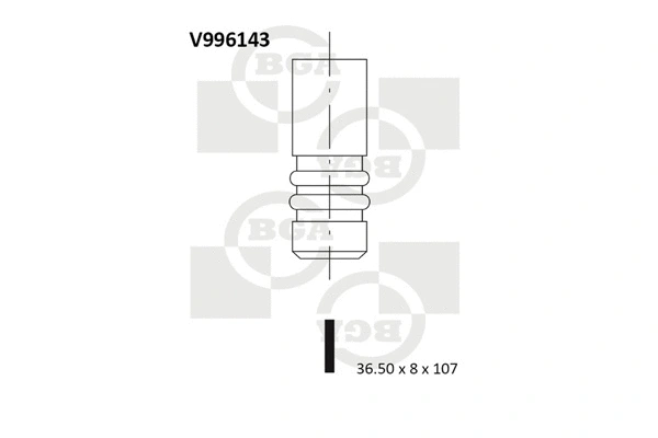 Intake Valve (WG1491702)
