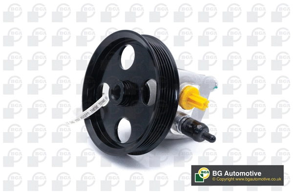 Hydraulic Pump, steering (WG1994124)