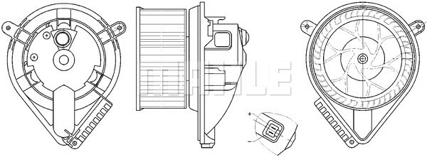 Interior Blower (WG2179908)