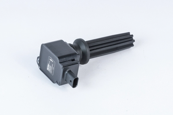 Ignition Coil (WG2112969)
