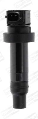 Ignition Coil (WG2009276)