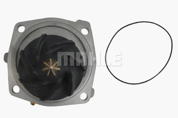 Water Pump, engine cooling (WG2181325)
