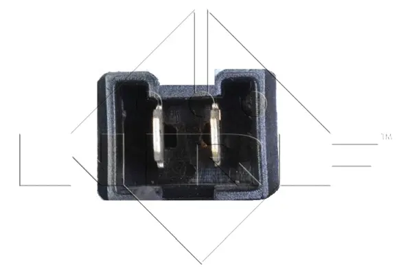 Interior Blower