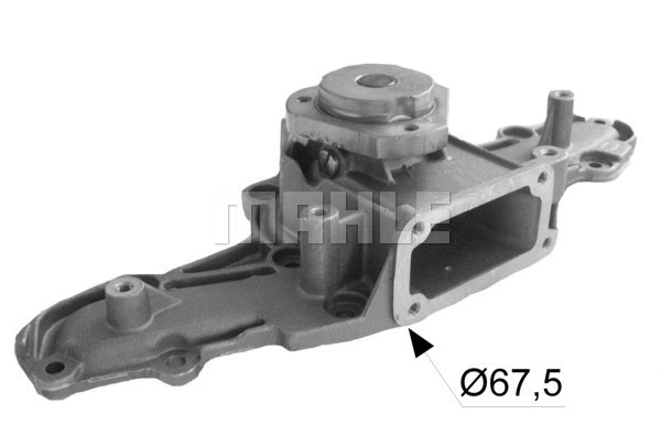 Water Pump, engine cooling (WG2181962)