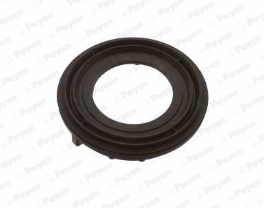 Gasket, cylinder head cover (WG2202434)