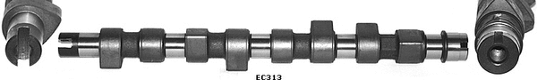 Camshaft (WG1051397)