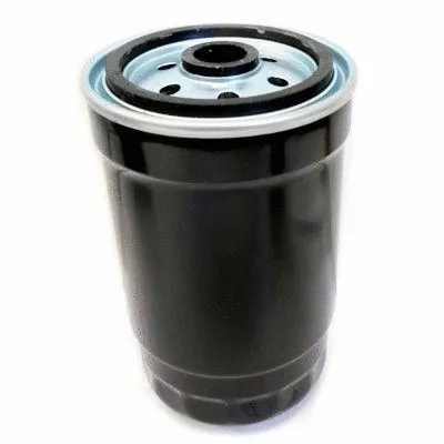 Fuel Filter (WG1748008)